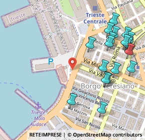 Mappa Piazza Luigi Amedeo Duca degli Abruzzi, 34132 Trieste TS, Italia (0.314)