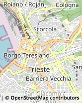 Assicurazioni Trieste,34133Trieste