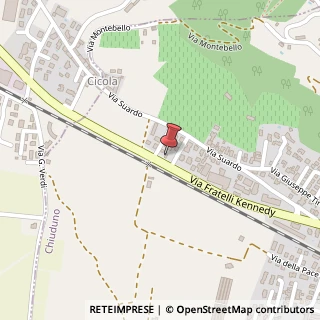Mappa Viale Fratelli Kennedy, 38/40, 24060 Chiuduno, Bergamo (Lombardia)