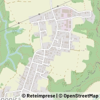 Map Triuggio