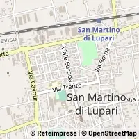 Mapa San Martino di Lupari