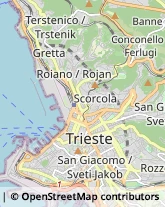 Scuole Pubbliche Trieste,34135Trieste