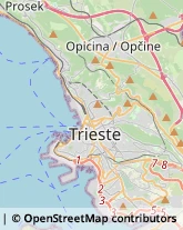 Scuole Pubbliche Trieste,34131Trieste