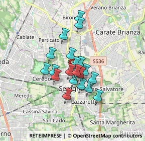 Mappa Via Stelvio, 20831 Seregno MB, Italia (1.195)