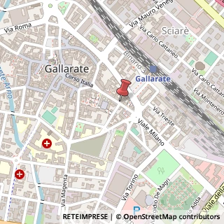 Mappa Via Cavour, 13, 21013 Gallarate, Varese (Lombardia)