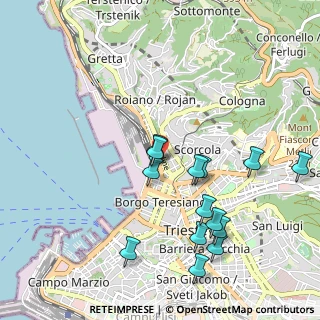Mappa Viale Miramare, 34132 Trieste TS, Italia (1.05)