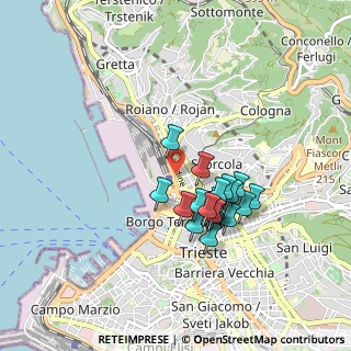 Mappa Viale Miramare, 34132 Trieste TS, Italia (0.7245)