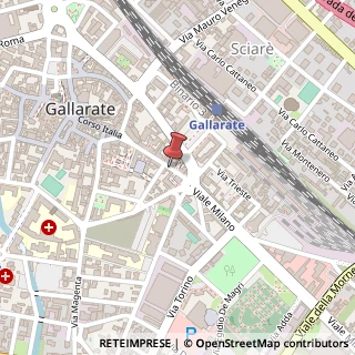 Mappa Via Camillo Cavour, 15, 21013 Gallarate, Varese (Lombardia)