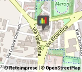 Commercio Elettronico - Società Seregno,20831Monza e Brianza