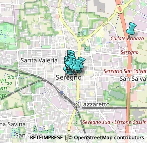 Mappa Via Santino de Nova, 20831 Seregno MB, Italia (0.27063)