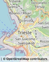 Consulenza Informatica Trieste,34124Trieste