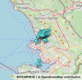 Mappa Via Giacinto Gallina, 34122 Trieste TS, Italia (1.05909)