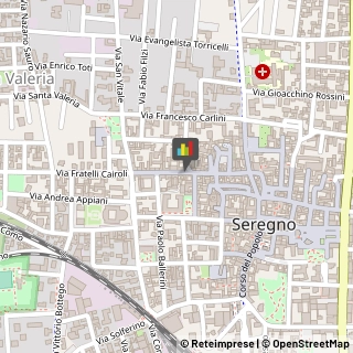 Articoli da Regalo - Dettaglio,20831Monza e Brianza