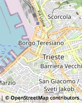 Avvocati Trieste,34121Trieste