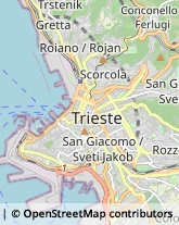 Alimentari Trieste,34127Trieste