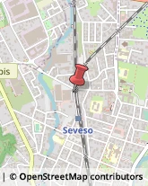 Via Zeuner Federico, 5,20030Seveso