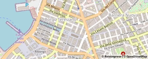 Mappa Trieste