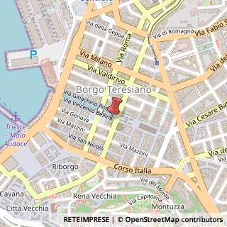 Mappa Via Vincenzo Bellini, 5/c, 34122 Trieste, Trieste (Friuli-Venezia Giulia)