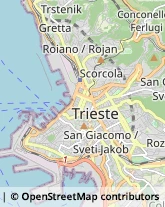 Gioiellerie e Oreficerie - Dettaglio Trieste,34135Trieste