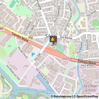 Fisiokinesiterapia - Medici Specialisti,31057Treviso