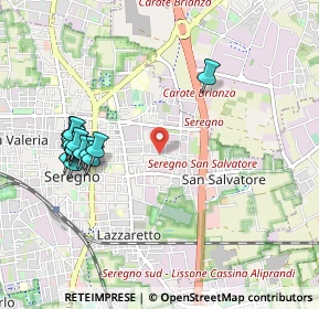 Mappa Via C. Porta, 20831 Seregno MB, Italia (1.05313)