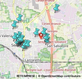 Mappa Via C. Porta, 20831 Seregno MB, Italia (0.956)