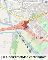 Via Treviso Mare, 1,31057Silea