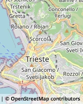 Locali, Birrerie e Pub Trieste,34125Trieste