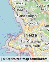 Agenzie Immobiliari Trieste,34135Trieste