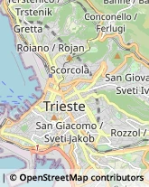 Associazioni e Federazioni Sportive Trieste,34126Trieste