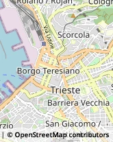 Case di Riposo e Istituti di Ricovero per Anziani Trieste,34132Trieste