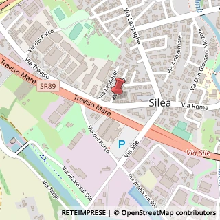 Mappa Via Treviso, 22, 31057 Silea, Treviso (Veneto)