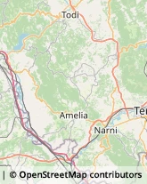 Assicurazioni Montecastrilli,05026Terni