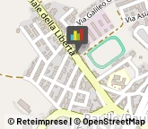 Agenti e Rappresentanti di Commercio,09070Oristano
