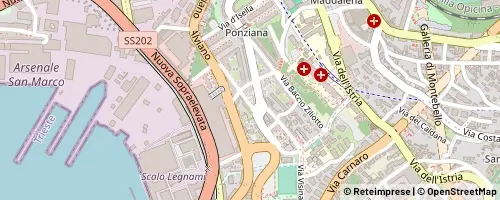 Mappa Triest