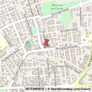 Mappa Via Luigi Carozzani, 57, 30027 San Donà di Piave, Venezia (Veneto)
