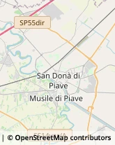 Autotrasporti Musile di Piave,30024Venezia