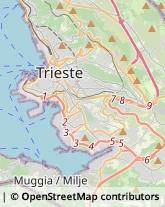 Parrucchieri Trieste,34137Trieste