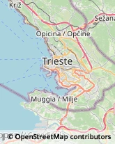 Calzature - Dettaglio Trieste,34100Trieste