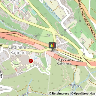 Imbalsamatori Trieste,34139Trieste