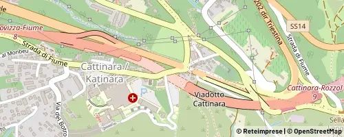 Mappa Triest