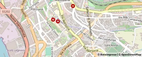 Mappa Trieste