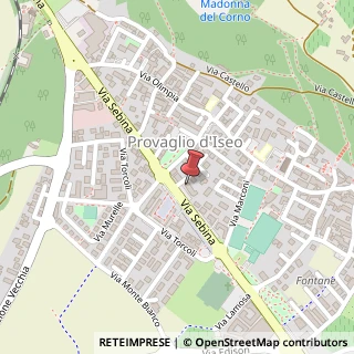 Mappa Via Sebina, 42, 25050 Provaglio d'Iseo, Brescia (Lombardia)