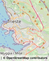 Imprese di Pulizia Trieste,34137Trieste