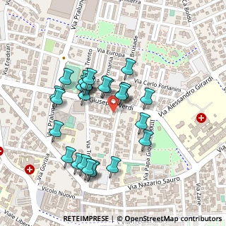 Mappa Via Giuseppe Verdi, 30027 San Donà di Piave VE, Italia (0.21481)