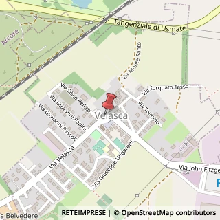 Mappa Via Velasca, 22, 20871 Vimercate, Monza e Brianza (Lombardia)
