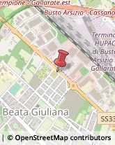 Via dei Villini, 11,21052Busto Arsizio