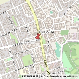 Mappa Piazza Italia, 11, 20853 Biassono, Monza e Brianza (Lombardia)