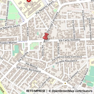 Mappa Via Carlo Vizzotto, 4, 30027 San Donà di Piave, Venezia (Veneto)