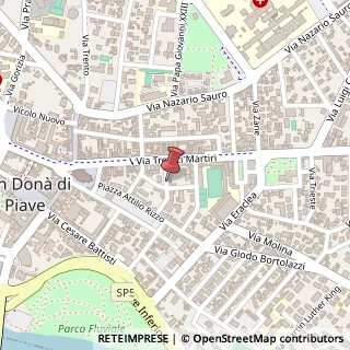 Mappa Via Secondo Ciceri, 14, 30027 San Donà di Piave, Venezia (Veneto)